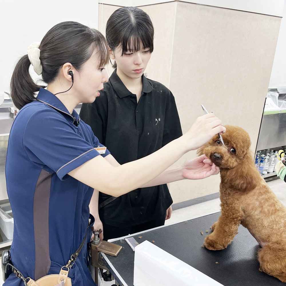 お顔のカット特集！
